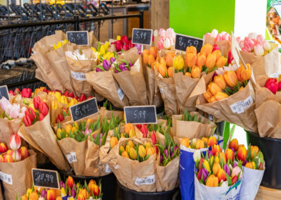 Schnittblumen